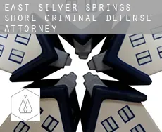 East Silver Springs Shore  criminal defense attorney