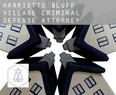 Harrietts Bluff Village  criminal defense attorney