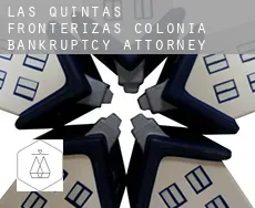 Las Quintas Fronterizas Colonia  bankruptcy attorney