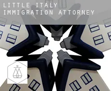 Little Italy  immigration attorney