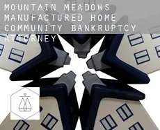 Mountain Meadows Manufactured Home Community  bankruptcy attorney