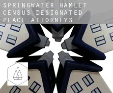 Springwater Hamlet  attorneys