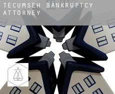 Tecumseh  bankruptcy attorney