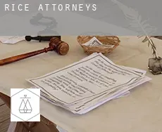 Rice  attorneys