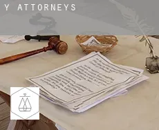 Y  attorneys