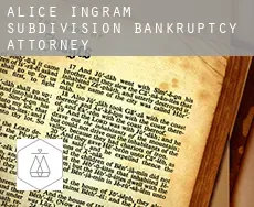Alice Ingram Subdivision  bankruptcy attorney