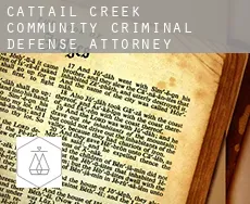 Cattail Creek Community  criminal defense attorney