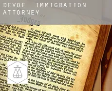 Devoe immigration attorney