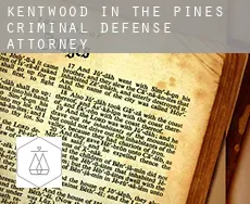 Kentwood-In-The-Pines  criminal defense attorney
