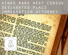 Kings Park West  immigration attorney
