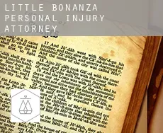 Little Bonanza  personal injury attorney