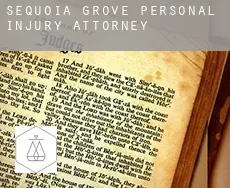 Sequoia Grove  personal injury attorney