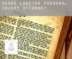 Shaws Landing  personal injury attorney