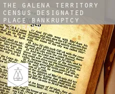 The Galena Territory  bankruptcy attorney