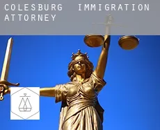 Colesburg  immigration attorney