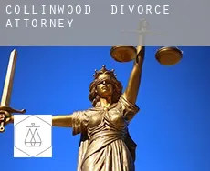 Collinwood  divorce attorney