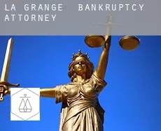 La Grange  bankruptcy attorney