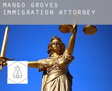 Mango Groves  immigration attorney