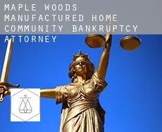 Maple Woods Manufactured Home Community  bankruptcy attorney