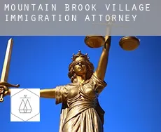 Mountain Brook Village  immigration attorney