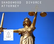 Shadowood  divorce attorney