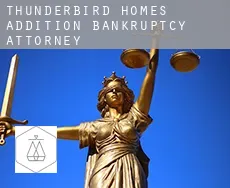 Thunderbird Homes Addition  bankruptcy attorney