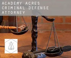 Academy Acres  criminal defense attorney