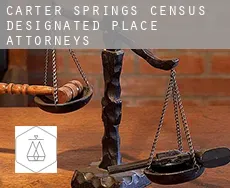 Carter Springs  attorneys