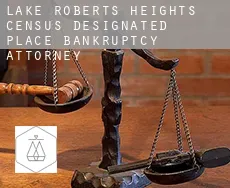 Lake Roberts Heights  bankruptcy attorney