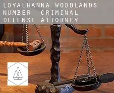 Loyalhanna Woodlands Number 2  criminal defense attorney