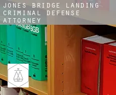 Jones Bridge Landing  criminal defense attorney