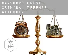 Bayshore Crest  criminal defense attorney