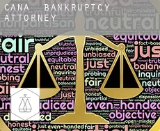Cana  bankruptcy attorney