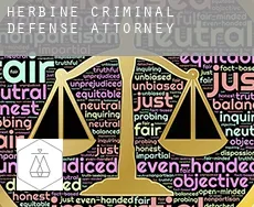 Herbine  criminal defense attorney