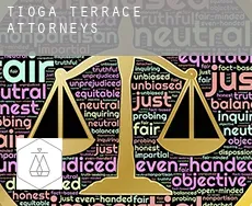 Tioga Terrace  attorneys
