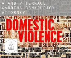 A and V Terrace Gardens  bankruptcy attorney