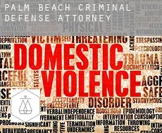 Palm Beach County  criminal defense attorney