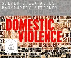 Silver Creek Acres  bankruptcy attorney