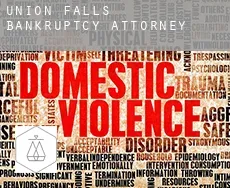 Union Falls  bankruptcy attorney