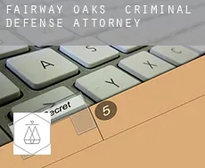 Fairway Oaks  criminal defense attorney