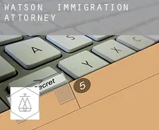 Watson  immigration attorney