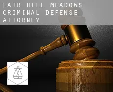 Fair Hill Meadows  criminal defense attorney
