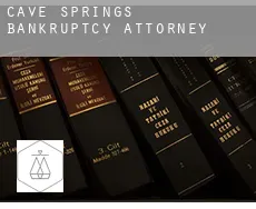 Cave Springs bankruptcy attorney