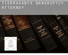 Tierrasanta  bankruptcy attorney