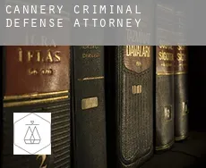 Cannery  criminal defense attorney