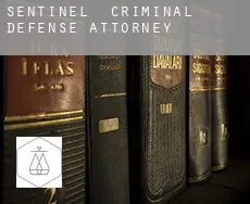 Sentinel  criminal defense attorney