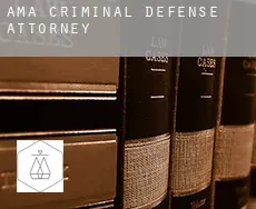 Ama  criminal defense attorney