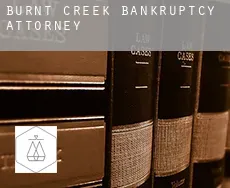 Burnt Creek  bankruptcy attorney