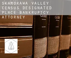 Skamokawa Valley  bankruptcy attorney