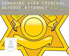 Sunshine View  criminal defense attorney